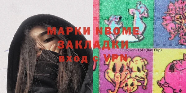 стаф Алзамай
