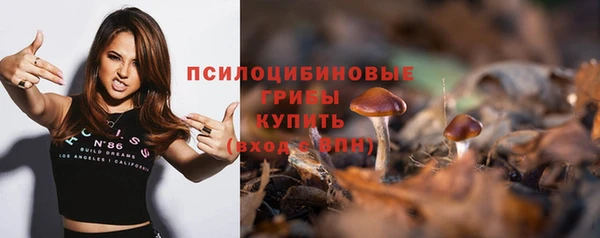 стаф Алзамай