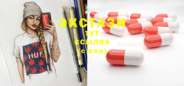 стаф Алзамай