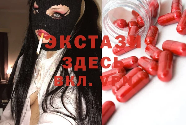 стаф Алзамай