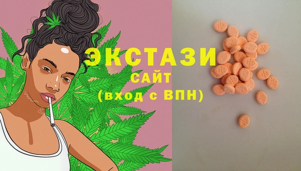 стаф Алзамай