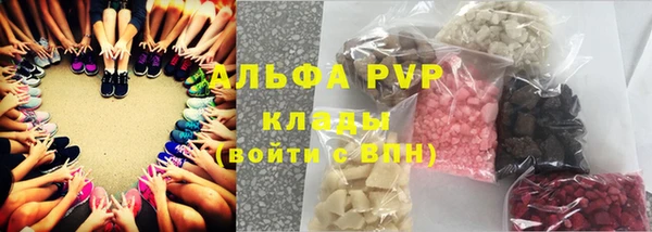 стаф Алзамай