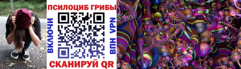 Псилоцибиновые грибы мицелий  ОМГ ОМГ онион  Родники  цены наркотик 