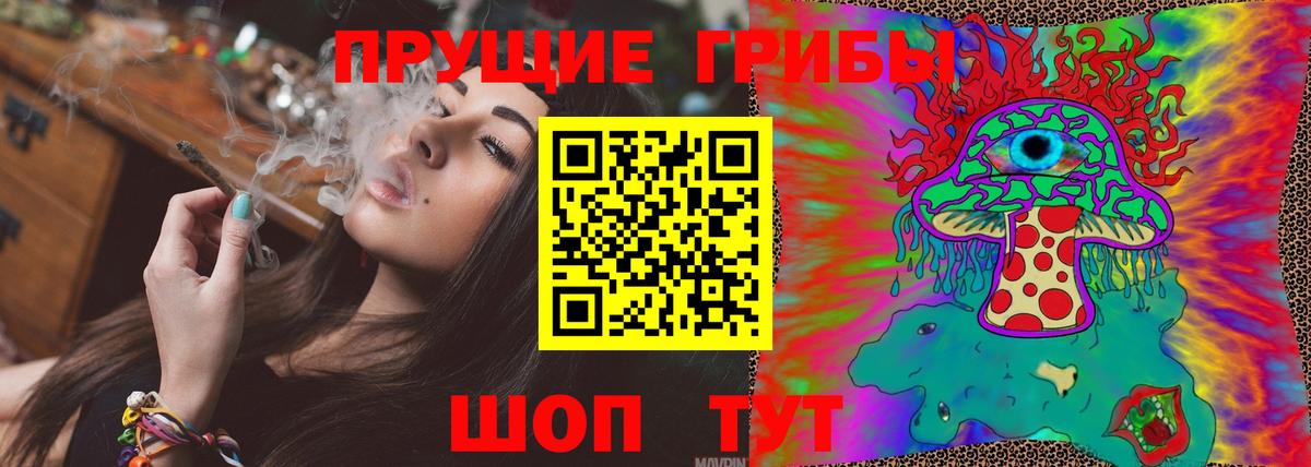 Галлюциногенные грибы Psilocybine cubensis  Вход с VPN  Галлюциногенные грибы мицелий  Родники 